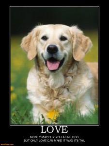 love-love-dog-animal-tail-wag-demotivational-posters-1293227125